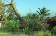 «Le baobab tombe par beau temps et pas par le vent»