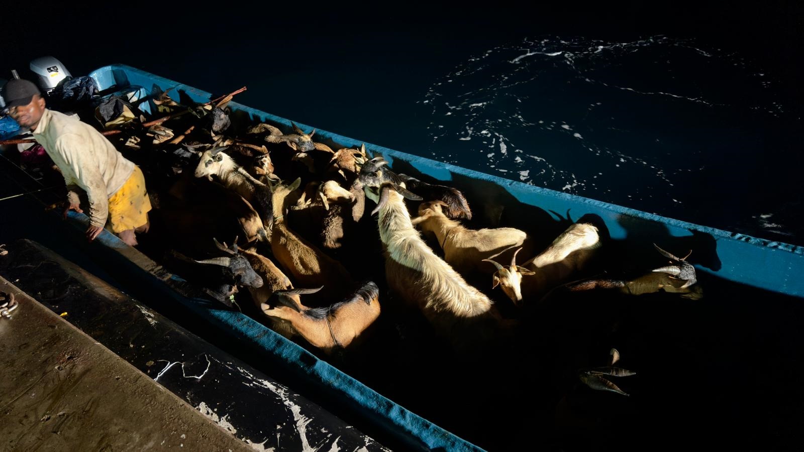Notre article sur les larmes de crocodile des Comores, valorisé par Flash Infos, à Mayotte